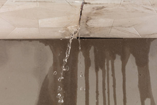Professional Structural Drying technician working in Patten, ME